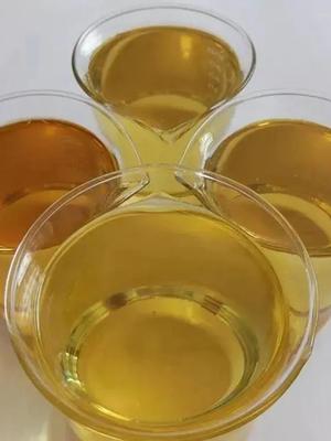 رزین اپوکسی در تهران