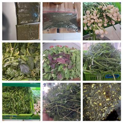 سبزی مارکت ارگانیک در قم