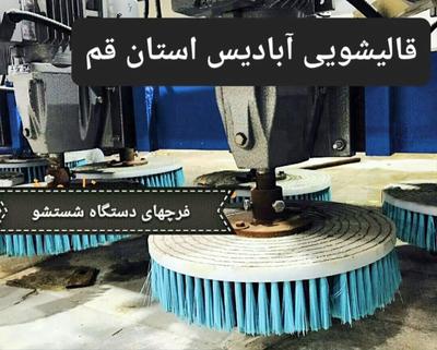 فرچه های دیسکی در قم