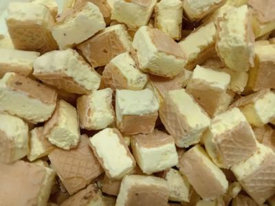 بستنی خشک و میوه پفکی ارگانیک در تبریز
