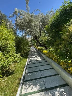 ۸۵۰ متر زمین با ۲۰۰ بنای فلت تاپ لکیشن صحرای ناران در لواسان
