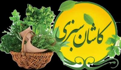 سبزیجات آماده به طبخ(کاشان سبزی) در کاشان