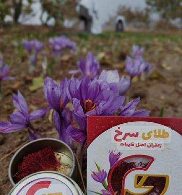زعفران علاء در اسلامشهر