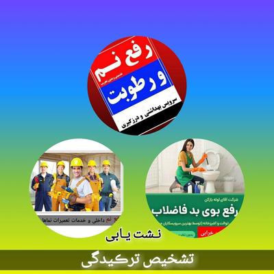 بَندکشی قوی ضد اَسید رفع نَم فناوری Japon در بجنورد
