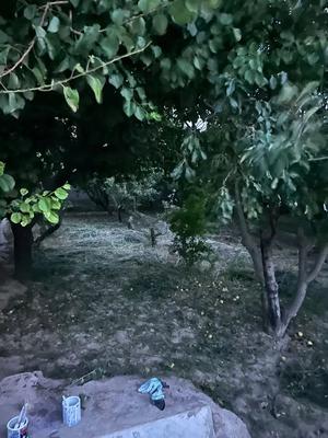 ۵۳۰ متر ایران زمین در مهدشت