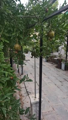 750 متر باغ با بنای دلنشین در رودهن