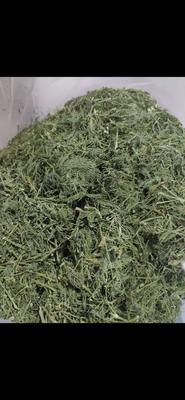 تخفیف شوید پفکی و رستورانی در نیشابور