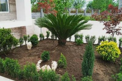 باغبانی وگل کاری وهرس کاری  وتعویز خاک گلدان در تهران