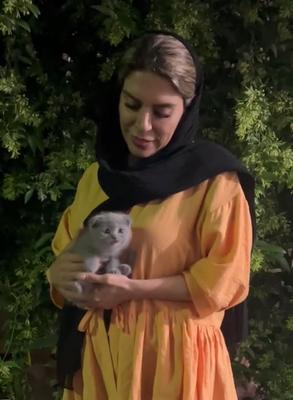 گوشه ای از تحویلی های مجموعه در بابل