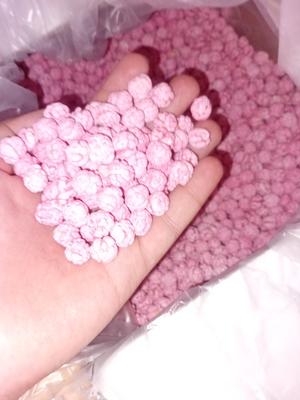تجارت انواع حبوبات و خشکبار