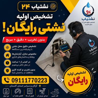 نشت‌یابی دقیق بررسی اولیه رایگان در گرگان