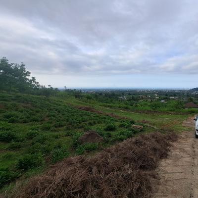 املاک نصف جهان در کوهنستان