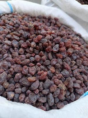 کشمش آفتابی لوکس در قم