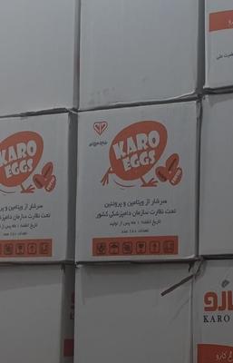 پخش تخم مرغ عمده در بندر گناوه