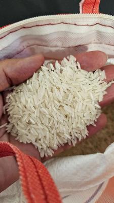 برنج هندی و پاکستانی برای هیئت ها به قیمت همکاری در تهران