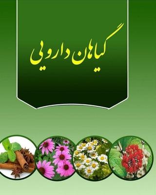 کار در منزل برای خانم های خانه دار در لار