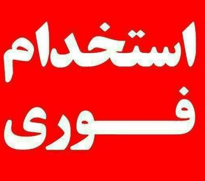 کارشناس فروش در فضای مجازی در شاهین‌شهر