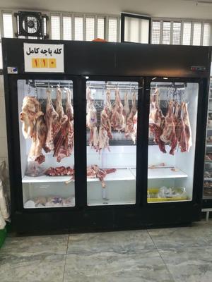یخچال ایستاده لاینی گوشت و مرغ در شیراز