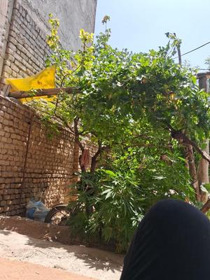 فروش خانه ویلایی ۶۵ متری ۱ خوابه در دربقاضی در نیشابور