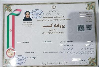 مبلشویی خدمات نظافتی آویژه مبل شویی کارگر راه پله در بجنورد