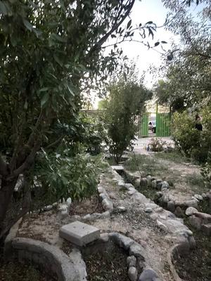 ۲۵۰ متر جنگلی در مهدشت