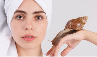 خاک حلزون،جلسات حلزون تراپی،فروش حلزون در مشهد