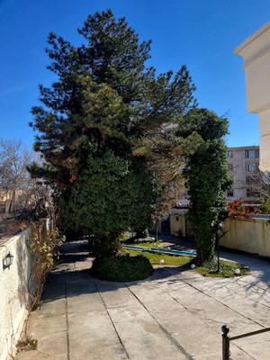 خانه ویلایی دانشکده در اورمیه