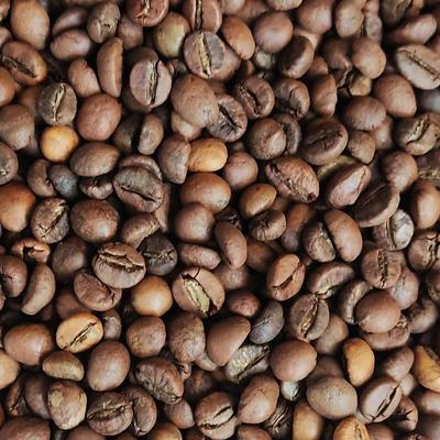 دان قهوه در نیشابور