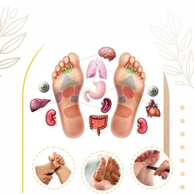 آموزش بازتاب شناسی ( رفلکسولوژی) در تهران