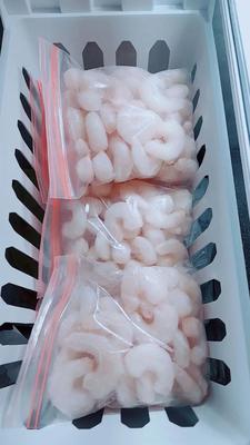 میگو دریایی تازه تازه جنوب در شیراز