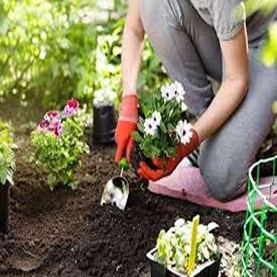خاک حاصلخیز در اصفهان