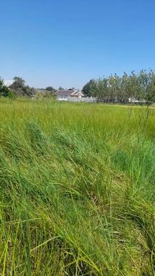 زمین کشاورزی به مقدار ۱۶۵۰ متر در سَنگَر