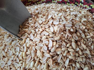 بادام مخصوص کره گیری لوکس در آستانه اشرفیه