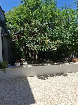 ۲۴۰ متر ویلایی تک خواب خوش قیمت نظام مهندسی در رشت