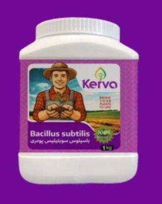 کود زیستی باسیلوس سوبتیلیس پودری کروا و .... در قائم‌شهر