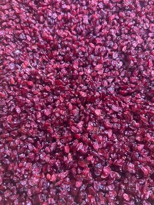 زرشک پلویی درجه یک رستورانی در کرج