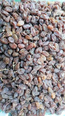 مویز و کشمش آفتاب خشک (آفتابی) بوانات در شیراز