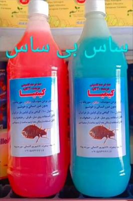 ساس سم پاشی بامحلول کیمیا معجزه‌گر بی رقیب در مشهد