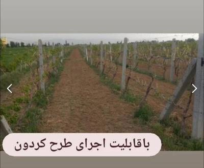 پایه داربست باکیفیت و ماندگار برای باغات در تاکستان