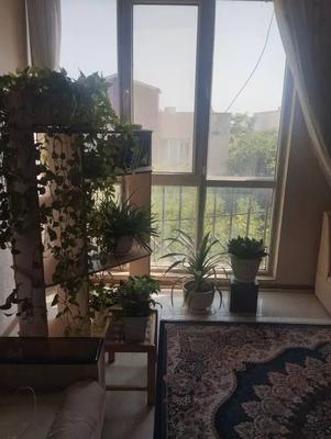 واحد پروژه گلبهار در هشتگرد