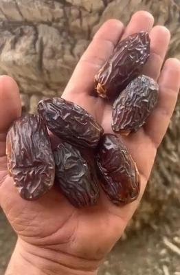 پاجوش مجول مراکشی اصل در اهواز