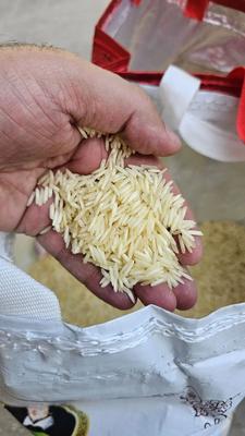 برنج هندی استیم ویلیام در تهران