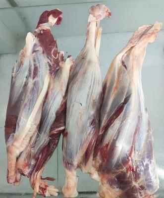 گوشت ماهیچه گوساله تازه و با کیفیت در تبریز