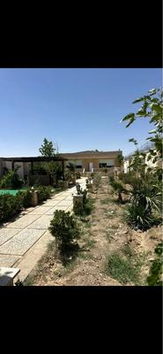 ۱۰۰۰ متر خیابان ارس در مهدشت