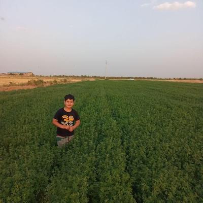 فروش ۸۴۰۰ متری زمین کشاورزی و سهم آب دارم. در تاکستان