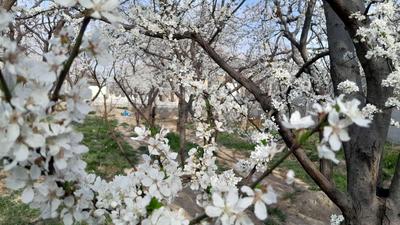 فروش خانه ویلایی ۷۰ متری ۱ خوابه در اکباتان در تهران