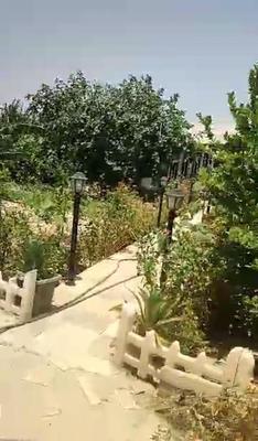 خونه باغ ۷۰۰ متری در برازجان