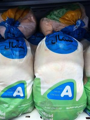 پخش نوید مرغ شمال در تهران