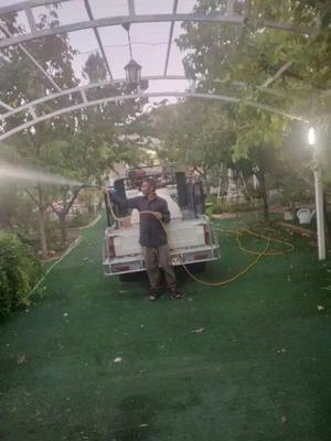 هرس پیوند سمپاشی درختکاری  علف بری در شیراز