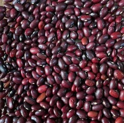 کاردر منزل بسته بندی حبوبات کرمانشاه و حومه در اصفهان